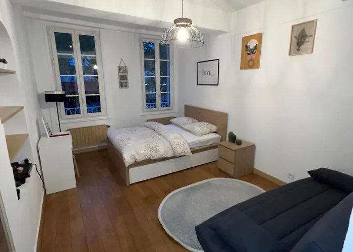 Apartman Le Zola *